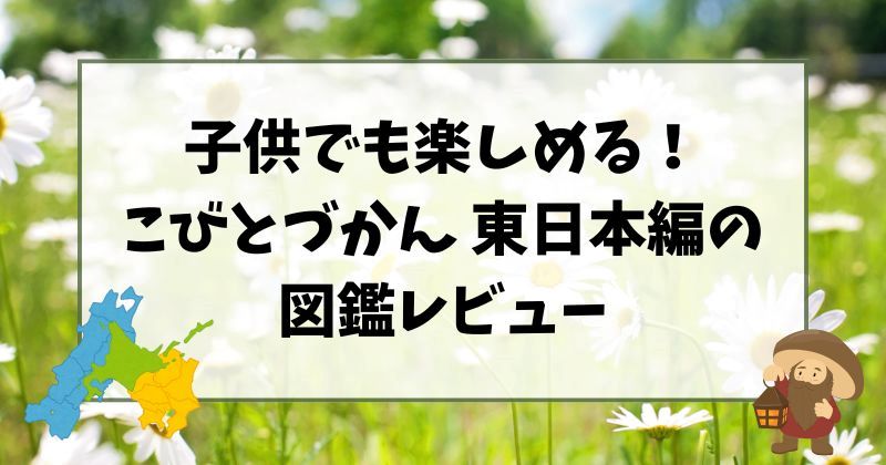 子供でも楽しめる！こびとづかん 東日本編の図鑑レビュー