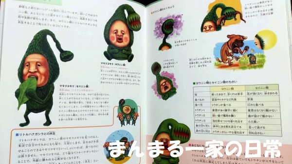 こびと大図鑑の中身の画像１