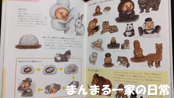 こびと大図鑑の中身の画像２