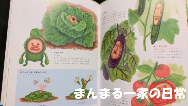 こびと大図鑑の中身の画像３